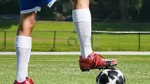 京城揭晓12强顶级教练阵容，引领CBA顶尖水准