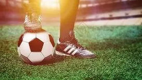 辽足新加盟球员年龄引关注，李金羽强调：评价依据是球员实力