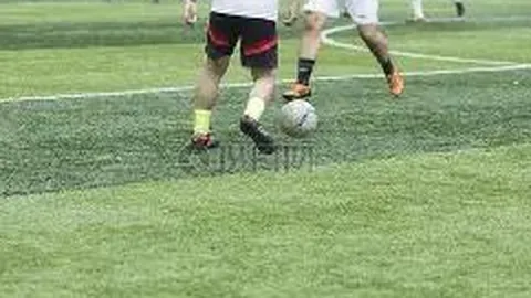 蓝色星原：旅谣二测期号专家质合推荐分析