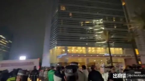 巅峰国际娱乐 123943 313
